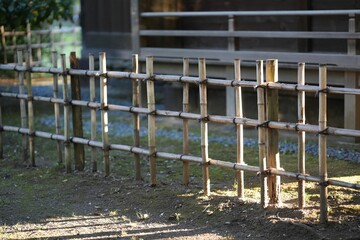 Fence of wooden pillars