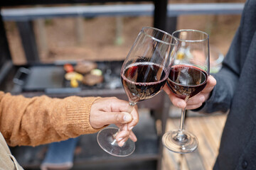 Close-up of young couple toasting with glasses of red wine during picnic outdoors