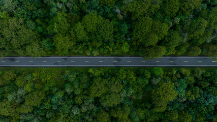Aerial view over  forest road with asphalt road and forest, Road in the middle of the forest up to...