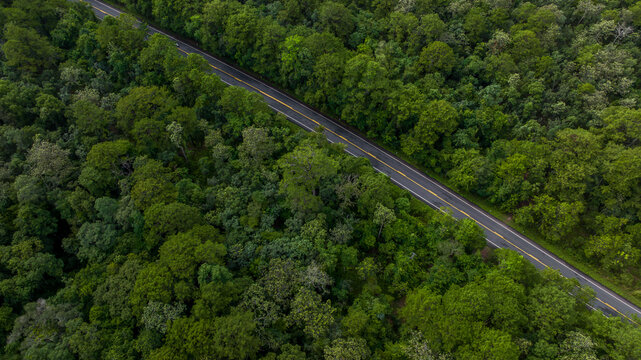 Aerial view over  forest road with asphalt road and forest, Road in the middle of the forest up to mountain, Countryside road passing through the green forrest and mountain.