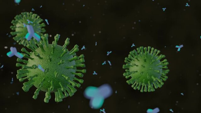 Antibodies act against viruses primarily by binding to and neutralizing virions and by directing the lysis of infected cells by complement or killer leukocytes 3d rendering