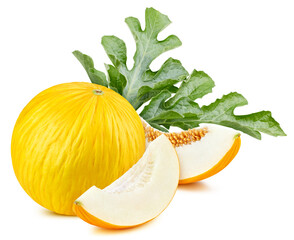 Melon isolated on white background