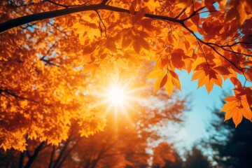 Naklejka na ściany i meble Autumn leaves background with sun rays and bokeh effect