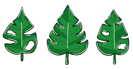 Set with monstera exotic leaves in cartoon style. Vector illustration