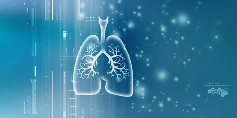 Healthy Human Lungs 2d illustration
 - obrazy, fototapety, plakaty