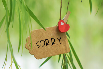 Sorry note hanging on tree branch