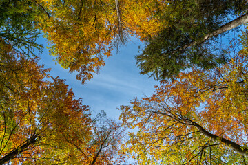 Herbststimmung an der Würm zwischen Mühltal und Gauting