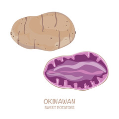 Sweet potato vector illustration Okinawan isolated Easy to edit white background.