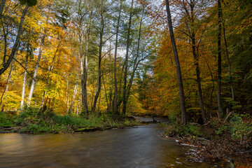 Herbststimmung an der Würm zwischen Mühltal und Gauting