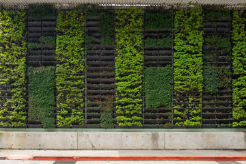 Urban vertical garden with lush green plants on a modular grid, set above a concrete pavement with...