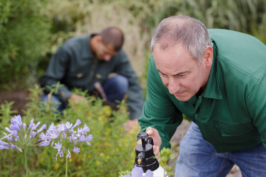working man with garden spray - Powered by Adobe