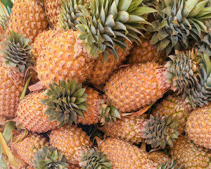 heap of fresh pineapple fruit background