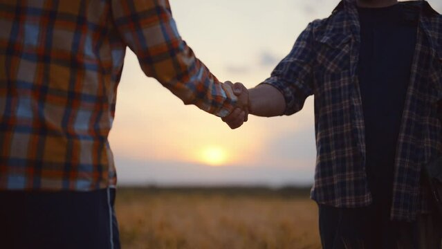 Close-up of men's handshake at sunset. Farmers or businessmen in wheat field made contract or gesture of respect when meeting. Friends hold hands and shake them up and down. Teamwork, cooperation.