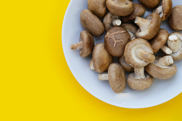 Fresh shiitake mushrooms on yellow background.