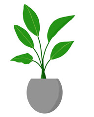 Potted plant illustration 