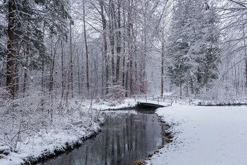 Winter snowy forest paths with snow cover in Sibenbrunn near Augsburg along the Brunnenbach stream