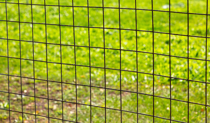 Metal mesh on the fence against the background of a green lawn