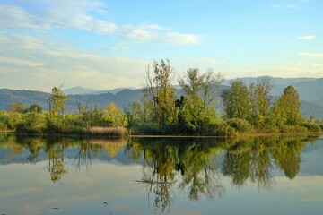 View of trees reflections on lake in Mollaköy, Sakarya, Turkey.