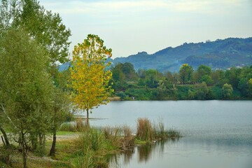 Fototapeta premium View of trees reflections on lake in Mollaköy, Sakarya, Turkey.