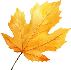 Watercolor autumn leaf clipart isolated on background