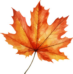 Naklejka na ściany i meble Watercolor autumn leaf clipart isolated on background