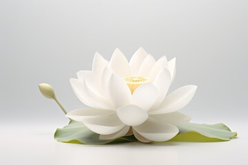 Photo of a graceful lotus flower on a solid white background. Generative AI - Powered by Adobe