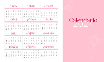 Calendario 2024, femenino, rosa, minimalista, meses en español - obrazy, fototapety, plakaty