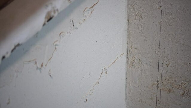 Male builder use metal spatula for putty walls, repairman filling spatula with spackling paste and covering cement wall surface. Builder leveling wall and angle Renovation work in Residential Premises