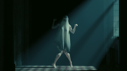 Ghostly figure ghost asylum abandoned moonlight mist haunting paranormal woman horror Halloween 3d illustration render digital rendering - obrazy, fototapety, plakaty