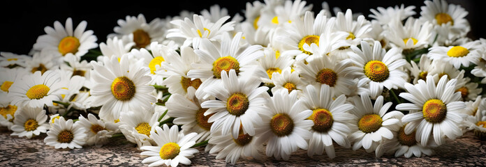 A bunch of white flowers with yellow centers