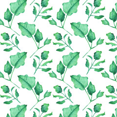 Seamless pattern of elements with spring leaves . Hand drawn watercolor illustration isolated on white background