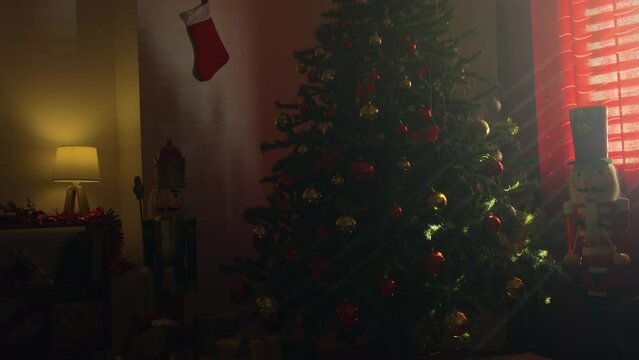 Christmas tree illuminated by rays of the sun