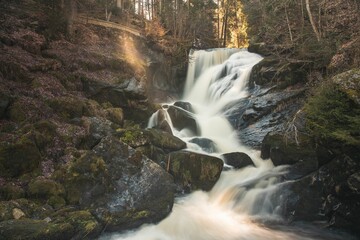 Beautiful waterfall cascades down a rocky hillside, surrounded by tall trees. Black Forest, Germany