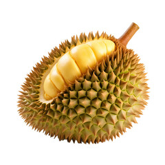 durian (fruit) isolated on transparent background cutout 