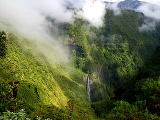 Trou de Fer or Iron hole, the highest french waterfall in the middle of a primary forest of bebour in Reunion