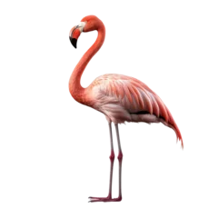 Fotobehang flamingo face shot, isolated on transparent background cutout © Pixel Town