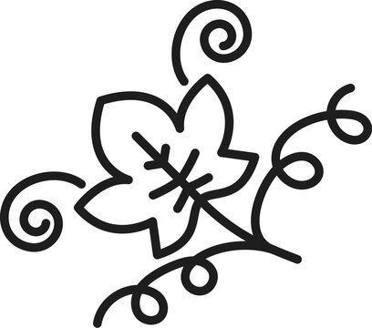 recommend clip art: Grape leaf on stem isolated leaves decor ornament outline icon. Vector isabella grape leaf with swirls, line art grapevine branch, winery sign