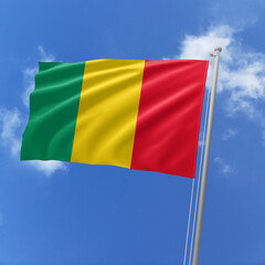 Guinea flag fluttering in the wind on sky.