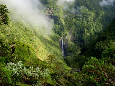 Trou de Fer, a beautifull waterfall in the middle of a primary forest in Reunion island. Tropical rainforest covering mountains cliffs. Scenic landscape in la R&eacute;union