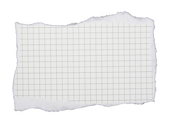 Torn striped paper sheet on transparent background png file