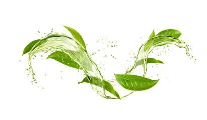 Green tea leaves, water wave splash and drops. Aromatic beverage swirl drip, breakfast tea or mint leaf drink splash 3d realistic vector splatters frozen motion or isolated jet droplets with leaves