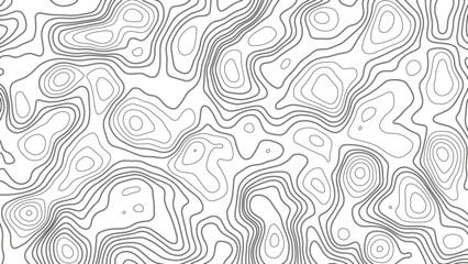 abstract pattern with lines. Background of the topographic map