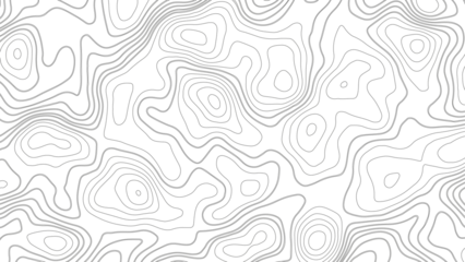 Foto op Canvas Background of the topographic map. Elevation contouring outline cartography texture. Geographic abstract grid. Futuristic wireframe landscape background. black and white seamless pattern © Aquarium
