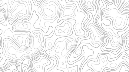 Abstract pattern with lines. Background of the topographic map