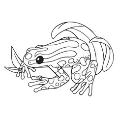 Outline Ranitomeya amazonica sits in grass. Poison dart frog, toad with patterned skin. Venomous amphibian animal. Exotic fauna. Coloring book. Lineart isolated vector illustration on white background