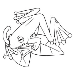 Outline tree frog sits on leaves. Rainforest froggy, exotic toad show long tongue. Contour amphibian animal. Wild fauna. Coloring book. Lineart isolated vector illustration on white background