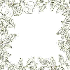Fototapeta na wymiar A border of lemon twigs and lemons. A composition of citrus fruits in a graphic style. Vector illustration isolated on a white background.