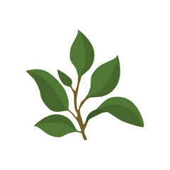 A sprig of lemon in a flat style. Vector illustration highlighted on a white background.