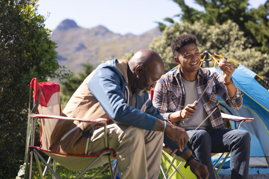 Happy african american father and adult son preparing marshmallows to toast at sunny campsite