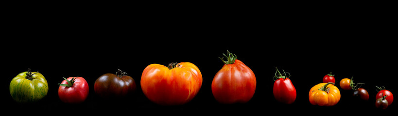 Panoramic Panning of heirloom tomatoes on black background